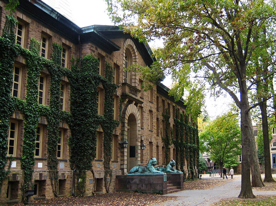 普林斯顿,Princeton